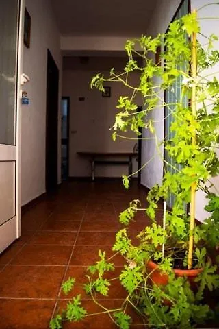 Holiday Apartment In Seline With Sea View, Wifi, Washing Machine 4209-1 Croatia